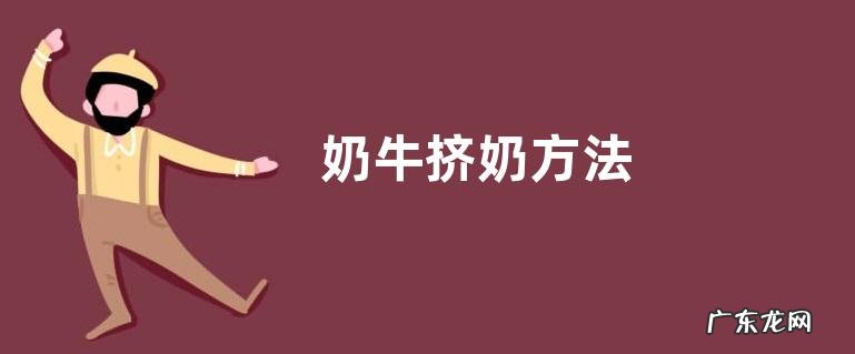 奶牛挤奶方法