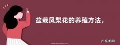 盆栽凤梨花的养殖方法，附繁殖方法