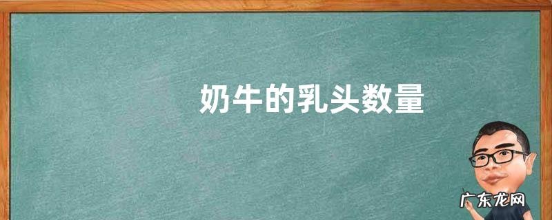 奶牛的乳头数量