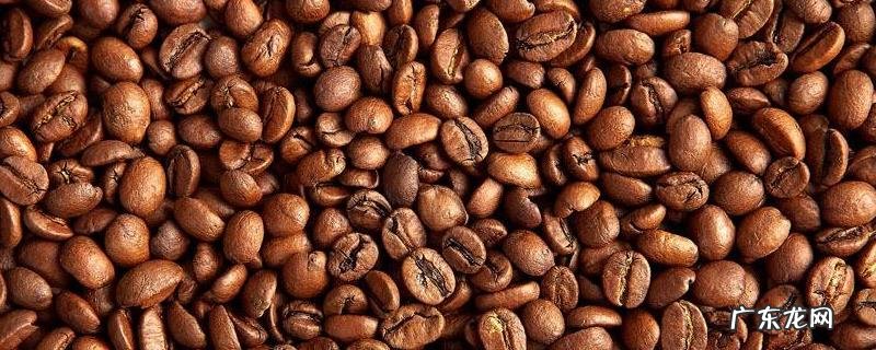 咖啡豆种植技术，适时播种，定期喷洒药物