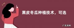 黑皮冬瓜种植技术，可选春播或者秋播