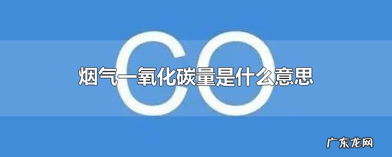 烟气一氧化碳量是什么意思