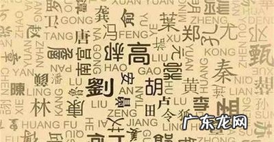 中国血统最神秘的 中国血统最神秘的姓氏