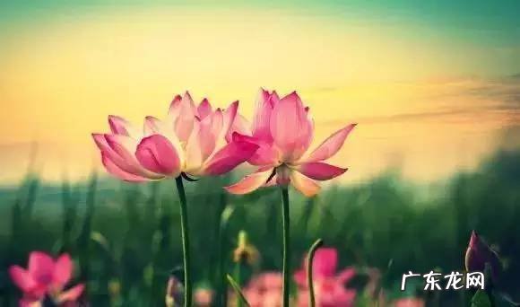 女人行将转好运气 女人即将转好运气的征兆