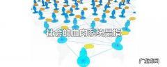 社会的血肉系统是指