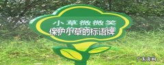 保护小草的标语牌