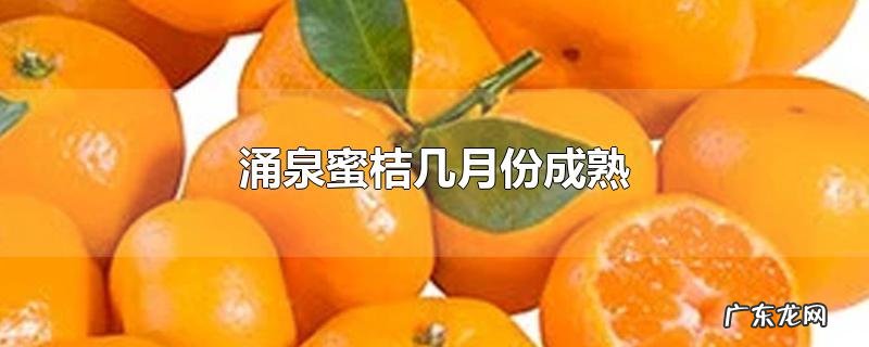 涌泉蜜桔几月份成熟