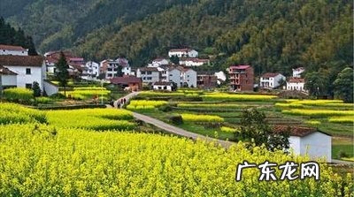 合村并镇不同意搬 合村并镇不同意搬迁会强拆吗