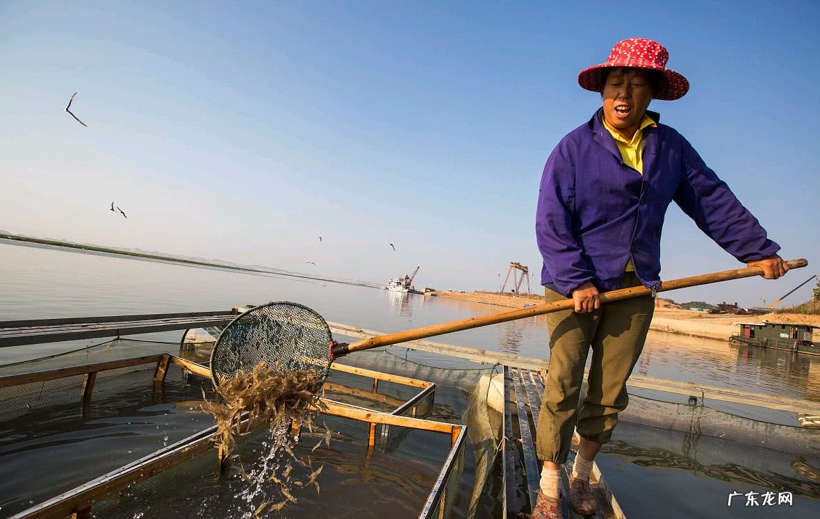 养殖场背建可以强 养殖场违建可以强拆吗