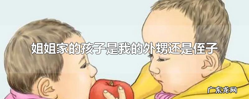 姐姐家的孩子是我的外甥还是侄子