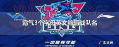 霸气3个字母英文缩写战队名