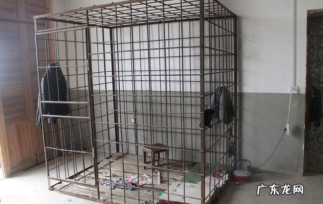 方法英关人的铁笼 法子英关人的铁笼子图片