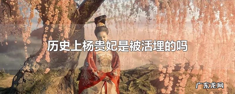 历史上杨贵妃是被活埋的吗