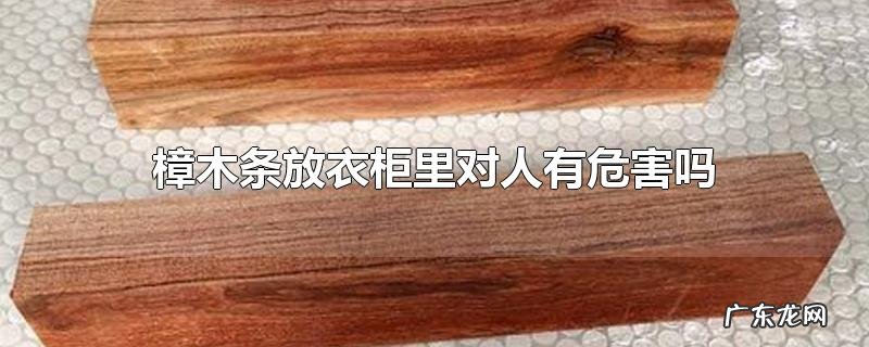 樟木条放衣柜里对人有危害吗