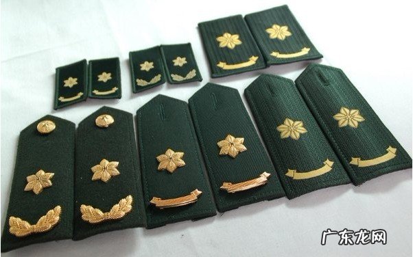 上将军衔享受甚么 上将军衔享受什么待遇