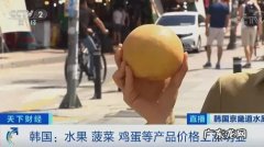 韩国1个梨涨至2 韩国一个梨涨至20多元