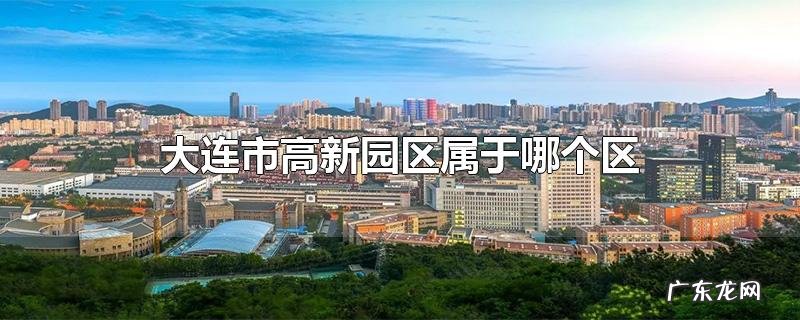 大连市高新园区属于哪个区