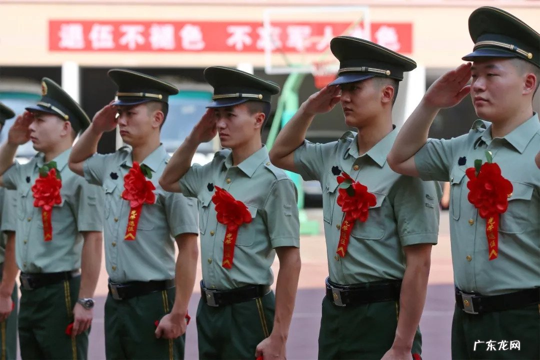 优待证甚么时候发 优待证什么时候发放最新消息