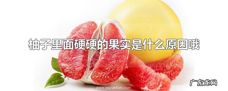 柚子里面硬硬的果实是什么原因哦