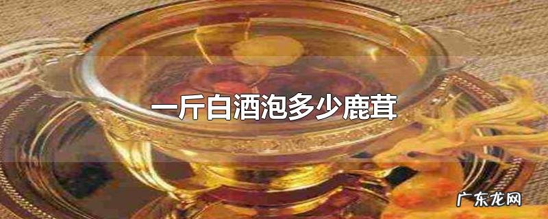 一斤白酒泡多少鹿茸