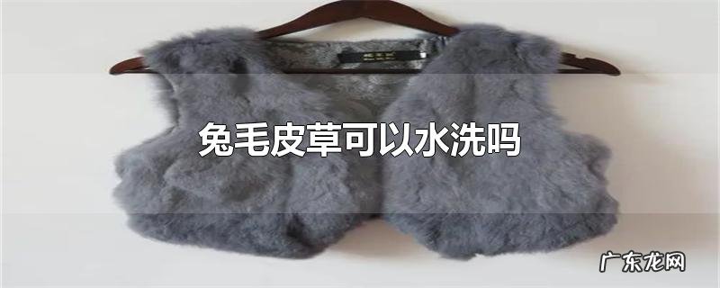 兔毛皮草可以水洗吗