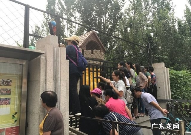 开学第1天家长朋 开学第一天家长朋友圈发什么