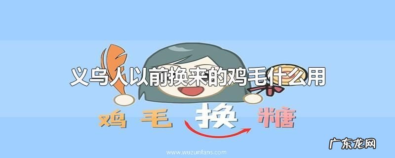 义乌人以前换来的鸡毛什么用