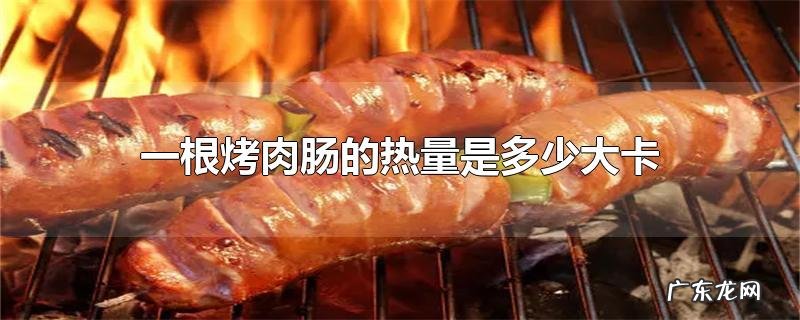 一根烤肉肠的热量是多少大卡