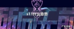 s11什么意思