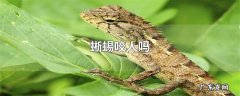 蜥蜴咬人吗