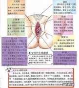 女人更年期后还有性要求吗