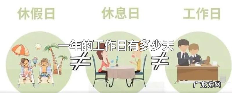 一年的工作日有多少天