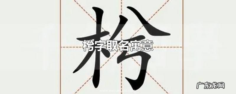 枍字取名寓意