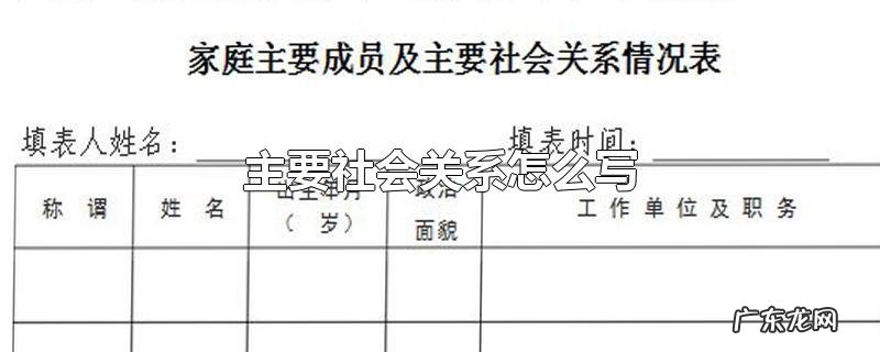 主要社会关系怎么写