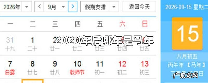 2020年后哪年是马年