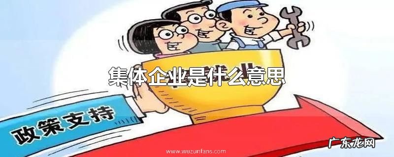 集体企业是什么意思