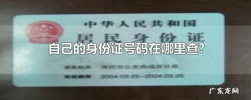 自己的身份证号码在哪里查?