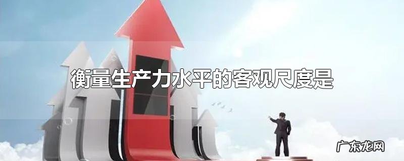 衡量生产力水平的客观尺度是