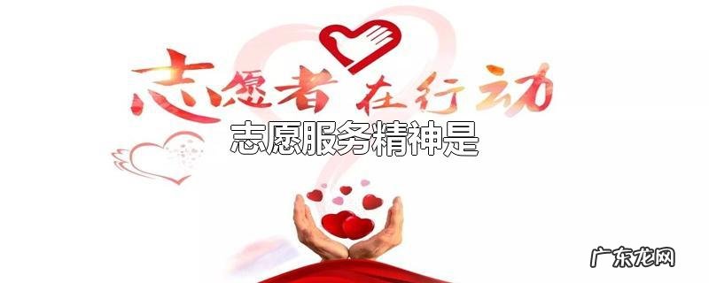 志愿服务精神是