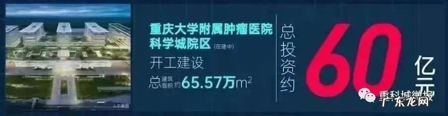 北京师大附中在哪个区