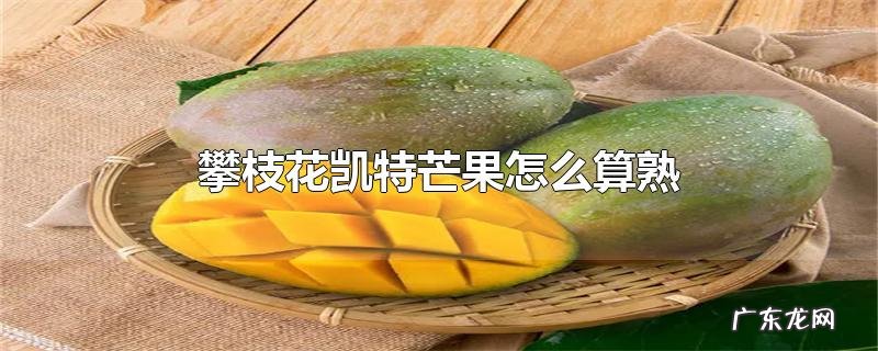 攀枝花凯特芒果怎么算熟