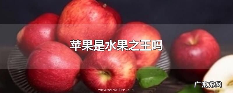 苹果是水果之王吗