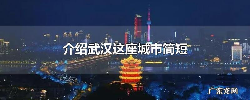 介绍武汉这座城市简短