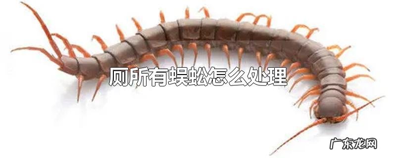 厕所有蜈蚣怎么处理