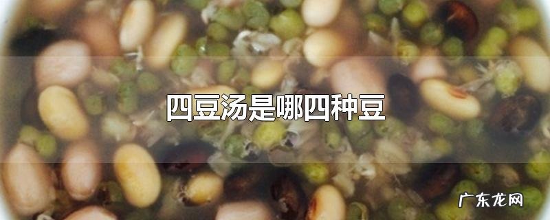 四豆汤是哪四种豆