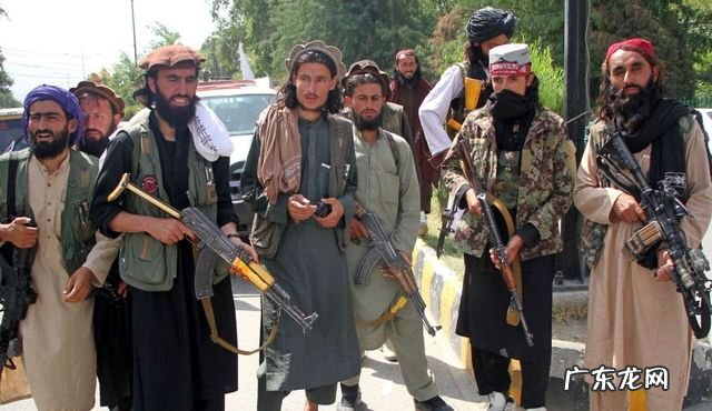 塔利班背后的支持 塔利班背后的支持者是谁