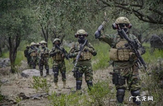 美国为何消灭不 美国为什么消灭不了塔利班