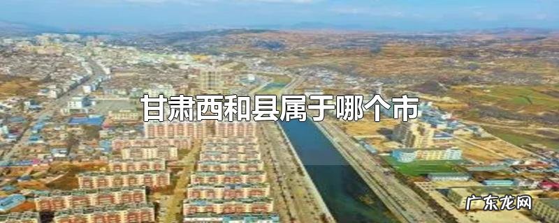 甘肃西和县属于哪个市