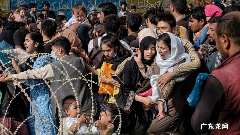阿富汗难民为何 阿富汗难民为什么要逃