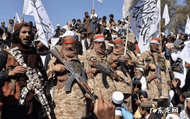 外媒:塔利班宣布 外媒:塔利班宣布特赦阿富汗总统